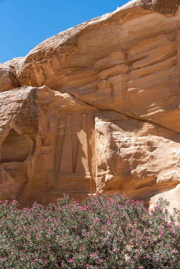와디무사 Bedouin Pink Ecohouse B&B 외부 사진